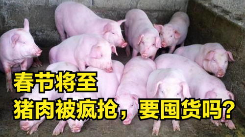 春节将至，猪肉涨价潮下囤货成理性选择？