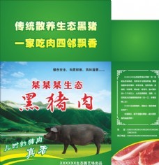 设计案例图片与素材免费下载全攻略 告别资源焦虑
